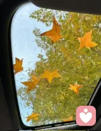 不必纠结当下,也不必担忧未来
所以我们一直走,天一定会亮