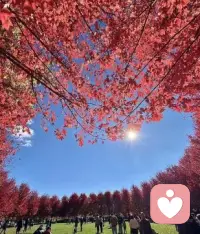 靜待花開
人生沒有白走的路
每一步都算數(shù)配圖