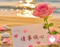 簡單點
糊涂點
開心點