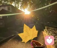 这路遥知马力的人间
你我平安喜乐皆好