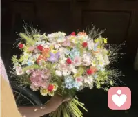 开新的花
续新的梦配图