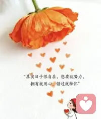 人生最无常
珍惜碗中汤配图