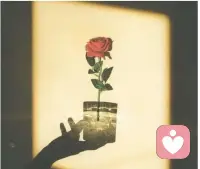 永远做自已的太阳
让自已充满晴天