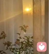 你若盛开
清风自来配图