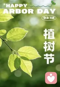 把焦虑埋进土里
静待花开配图