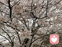 不是没有焦虑，而是拥有足够灵活的自我来管理焦虑。配图