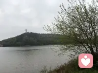 痛苦是因为你活在过去，焦虑是因为你活在未来