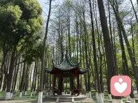 真传一句话，假传万卷书！