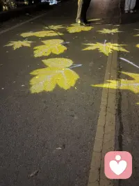 世界的本质是就是有阳光也有阴影配图