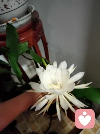 分享你的故事。讓我靠近你，走進你心里配圖