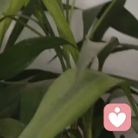 人生如戲全靠演技配圖