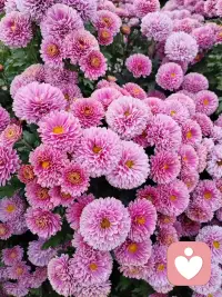 温暖的事温暖的人