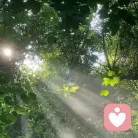 你是我的一束光