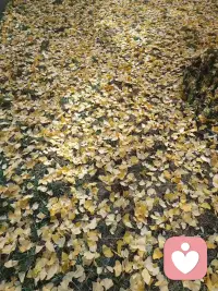 討好型人格背后的真相
討好型人格的形成，往往源于童年時期的情感缺失和恐懼，小時候，為了獲得養育者的認可和避免被拋棄，孩子學會了察言觀色。學會了犧牲自己的需求去滿足別人。配圖