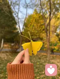 一定要珍惜那个真诚对你的人，他愿意真诚的和你沟通，没有防备的把他的故事分享给你。他不虚伪喜欢打直球，他愿意跟你交底，你不用费力费脑子就可以看清楚这个人，恭喜你。遇到了一个很爱很爱你的人，在这个大部分人因为害怕欺骗。害怕付出追求回报的年代还愿意真心和你在一起的人，已经不能用稀有来形容了，真的是少之又少，其实大部分都是虚伪的，很多人呆着面具生活。即使遇到了喜欢的也不敢真诚相待，所以当你遇到一个对你很真的人，一定要抓住别放手，放手可能她就是别人的了