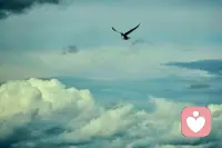 我们要过的，无非是自己那一关
我得到的。都是我努力争取来的
我失去的，都是我不曾真正拥有的
想通这一点以后，也就没什么好不甘心的了配图