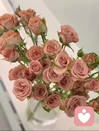 女孩子不能太真诚，要慢慢修炼人情世故
1.会装，懂得演戏，善于隐藏心机
2.看似活泼直爽，但一旦涉及到核心利益，就开始保持警戒
3.擅长套话
4.善于笼络人心
5.善于打造人设
6.心狠手辣
7.理性。控制情绪
8.看透他人配图