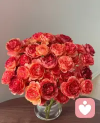 单身越久，正缘越强
感情越是好的人，他出现的就越晚，因为他得跨越三世恩怨，多开气煞九重，走你这一届，靠的不是心动，是契约
那些轻易靠近的，不过是缘浅火热的过客