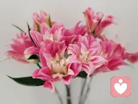 快过年啦，都准备的怎么样啊？