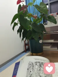 这么晚了,在办公室看看书,明天再回去吧