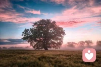 ?人不如求己靠誰不如靠自己，遇事微笑對待生活善良對待他人～配圖