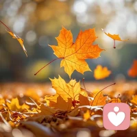 命運若有饋贈，暗中必有抽離，不要追求完美，完美即是結束～配圖