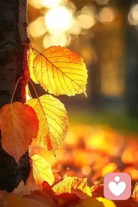 生活總會打磨我們，讓我們?nèi)彳浕驁?jiān)硬。
既然選擇了遠(yuǎn)方，便只顧風(fēng)雨兼程。配圖