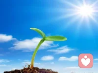 有人想把你埋了……沒想到，你是顆種子～配圖