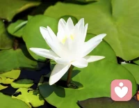 情，是人在世間的煉獄。
愛情也好、友情也罷，
對的時間遇上對的人才能修成正果～配圖