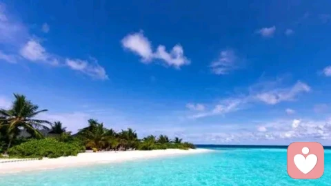 你的情绪，有多少是“真”的？