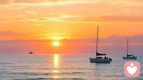 与原生家庭和解:不是原谅他们,而是放过自己