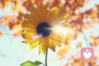 會有那么一天，
你也會放下今天的執著和不舍，
帶著少許的遺憾離開，
是認清，是放過，是釋懷????配圖