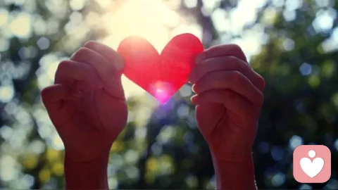 追蛇定律：亲密关系中的作死行为，90%的人都在做