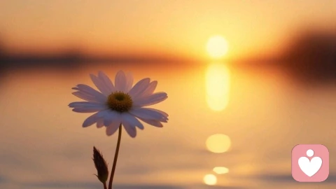 你不是你父母的翻版：如何打破代际传递的行为模式