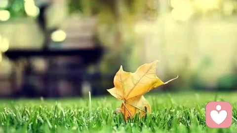 荣格说：你所抵触的，会持续存在