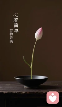 ?盡心盡力，隨遇而安，不爭不擾，不辯不怨，
讓春風悄悄帶來答案。
無需執念太深，有時放下，才是最美的成全。
真正的安寧，不是世界風平浪靜，而是心靈在風雨中依然從容。配圖