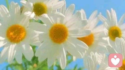 做自己内心的守护者,而非受害者