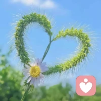 ?無論世界怎樣紛繁復(fù)雜，
保持內(nèi)心的善良與熱愛。
用微笑面對(duì)生活的挑戰(zhàn)，
你會(huì)發(fā)現(xiàn)，
美好正悄然向你走來????配圖