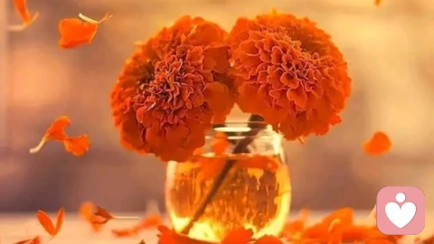 如何安放那个不完美的自己？