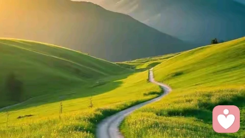 让情绪流过，而不被情绪带走