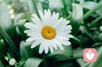 當你不再對現狀產生問題時
你便從痛苦中解脫了????配圖