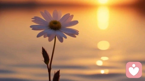 “回避型依恋”与“焦虑型依恋”：为何我们总是相互吸引又彼此伤害？