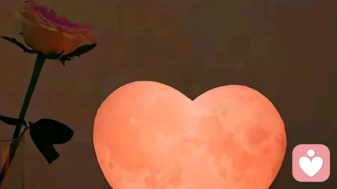 守护易感的心，修炼温柔之力