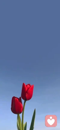 你不知道你，所以你是你；
如果你知道你，你就不是你了????配圖