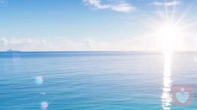 天秤上的玫瑰：当爱情遭遇现实的重力