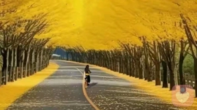 “自律”的陷阱：你是在掌控生活，还是在厌恶自己？