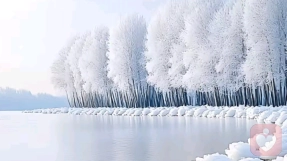 搭子社交”爆火背后：我们为何在亲密关系里感到饥饿？