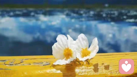 爱自己是终身浪漫的开始