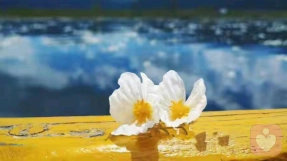 爱自己是终身浪漫的开始