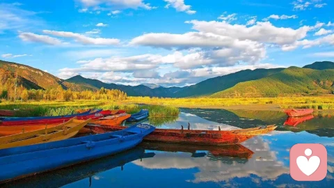 沒說出口的“鈍感力”